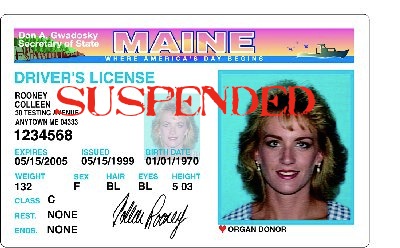 free maine drivers license template photoshop