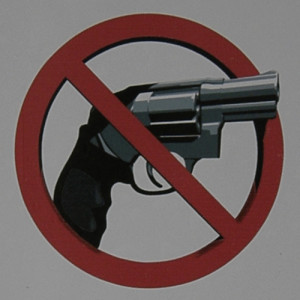 federal firearms prohibitions prevent many people from owning guns